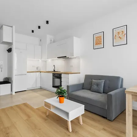 Nowoczesne I Eleganckie Oraz Z Balkonami W Poznaniu By Renters Apartment Posen