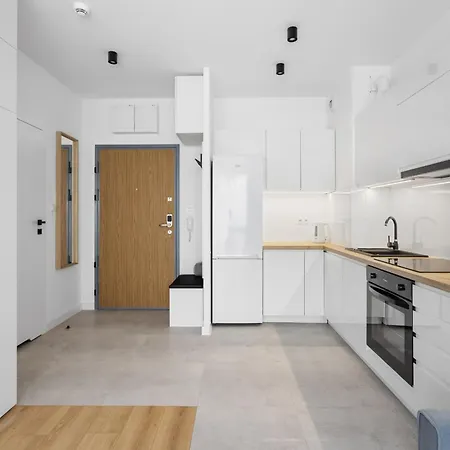 Nowoczesne I Eleganckie Oraz Z Balkonami W Poznaniu By Renters Apartment *