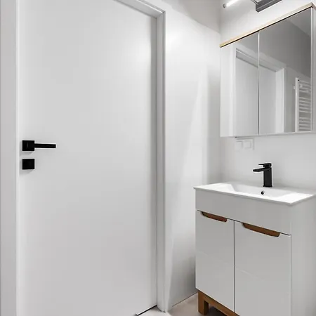 Nowoczesne I Eleganckie Oraz Z Balkonami W Poznaniu By Renters Posen